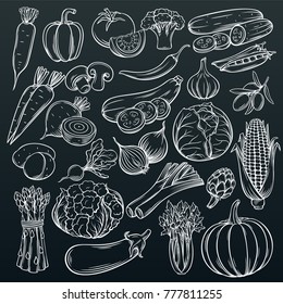 Set hand drawn vegetables icons set. Collection farm product in decorative retro sketch style for restaurant menu, market label.