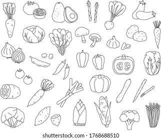 Set of hand drawn vegetables illustrations