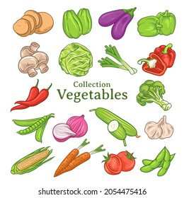 Set of hand drawn vegetables illustrations, Vegetables collection, Vegetable set
