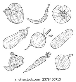 Set of hand drawn vegetables ink style. Pepper, chili pepper, tomato, eggplant, beetroot, cucumber, garlic, carrot and onion. For coloring pages, menu, greeting cards, posters, educational books