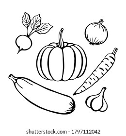 Verduras a mano, elementos aislados en el blanco. Ilustración vectorial.