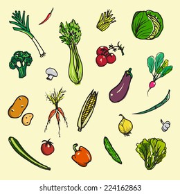 Set of hand drawn vegetables made in vector.