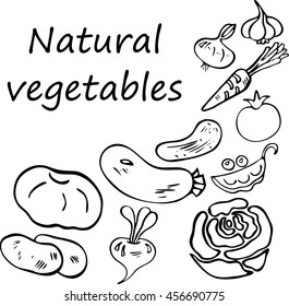 set of hand drawn vegetables. natural, organic food. elements for designs, etc.vector illustration