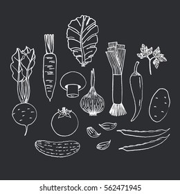 Set of hand drawn vegetables on black background