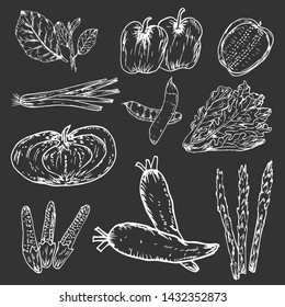 Set of hand drawn vegetables, Organic herbs and spices, Healthy food drawings set. Vector illustration.