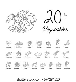 Set of hand drawn vegetables. Sketches of different food. Isolated on white