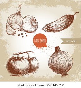 Set of hand drawn vegetables. Tomatoes, onion, cucumber and garlic. Sketch style ecological food illustration.