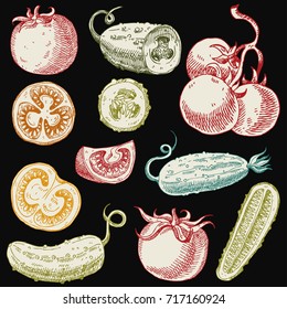 Set of hand drawn vegetables. Tomatoes and cucumbers 