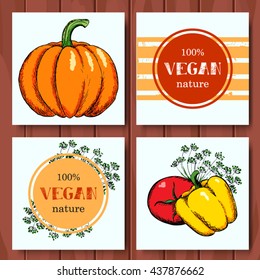 set of hand drawn vegetables. vector illustration