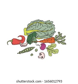 Set handgezeichnetes Gemüse. Konzept der vegetarischen Küche. Bio-gesunde Produkte Vektorillustration Illustration im linearen Doodle-Stil. Veganische Öko-Markterholungselemente