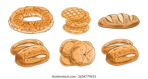 Set of hand drawn vintage breads including loaves, buns, rolls and flatbread.  Perfect for bakery design and packaging.