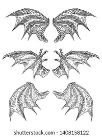 Set of hand drawn vintage etched woodcut fallen angel or vampire detailed wings. Dragon or gargoyle wings. Heraldic wings for tattoo and mascot design. Isolated sketch collection. Vector.