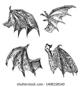 Set of hand drawn vintage etched woodcut fallen angel or vampire detailed wings. Dragon or gargoyle wings. Heraldic wings for tattoo and mascot design. Isolated sketch collection. Vector.