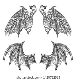 Set of hand drawn vintage etched woodcut fallen angel or vampire detailed wings. Dragon or gargoyle wings. Heraldic wings for tattoo and mascot design. Isolated sketch collection. Vector.