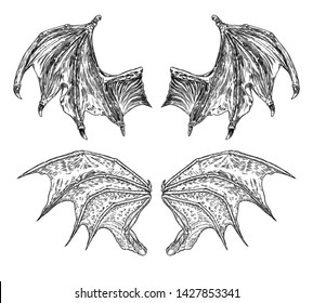 Set of hand drawn vintage etched woodcut fallen angel or vampire detailed wings. Dragon or gargoyle wings. Heraldic wings for tattoo and mascot design. Isolated sketch collection. Vector.