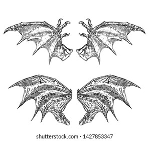 Set of hand drawn vintage etched woodcut fallen angel or vampire detailed wings. Dragon or gargoyle wings. Heraldic wings for tattoo and mascot design. Isolated sketch collection. Vector.