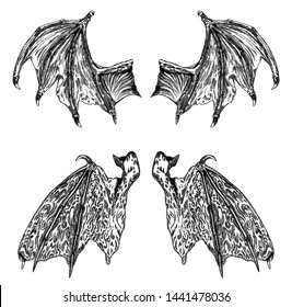 Set of hand drawn vintage etched woodcut fallen angel or vampire detailed wings. Dragon or gargoyle wings. Heraldic wings for tattoo and mascot design. Isolated sketch collection. Vector.