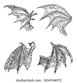 Set of hand drawn vintage etched woodcut fallen angel or vampire detailed wings. Dragon or gargoyle wings. Heraldic wings for tattoo and mascot design. Isolated sketch collection. Vector.