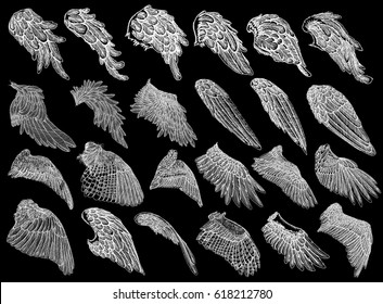 Set of hand drawn vintage etched woodcut angel or bird detailed wings. Heraldic wings for tattoo and mascot design. Isolated sketch collection vector. Card, poster, t-shirt, smart phone, CD print.