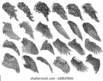 Set of hand drawn vintage etched woodcut angel or bird detailed wings. Heraldic wings for tattoo and mascot design. Isolated sketch collection vector. Card, poster, t-shirt, smart phone, CD print.