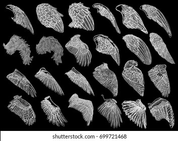 Set of hand drawn vintage etched woodcut angel or bird detailed wings. Heraldic wings for tattoo and mascot design. Isolated sketch collection vector. Card, poster, t-shirt, smart phone, CD print.