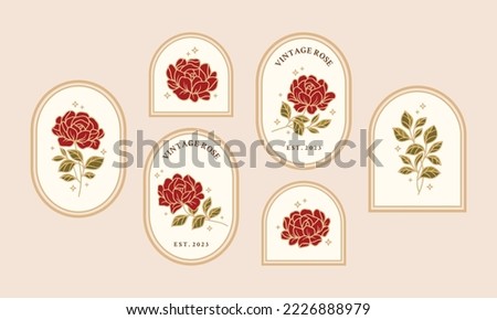 Set of hand drawn vintage retro botanical feminine rose flower, leaf branches, and frame line art logo elements