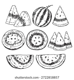 Set von Hand gezeichnete Wasser Melon Umrissgrafik