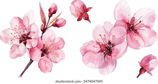 Set of Hand drawn watercolor illustration Red Apple Flowers. Vector, Isolated on white background. Element for design of invitations, movie posters, fabrics and other objects.