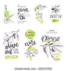 Set of hand drawn watercolor labels and signs of olive oil. Vector illustrations for olive oil labels, packaging design, natural products, restaurant