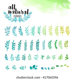 Set of hand drawn watercolor natural elements, leaves and tree branches. Vector illustrations for graphic and web design, for natural and organic products, spa and cosmetics, environment.