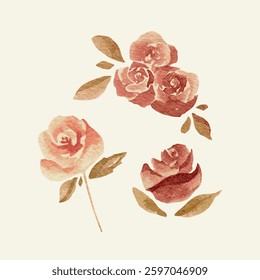Set of Hand Drawn Watercolor Roses Bouquet Illustration