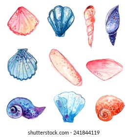 Set of hand drawn watercolor sea shells. Colorful vector illustrations isolated on white background.