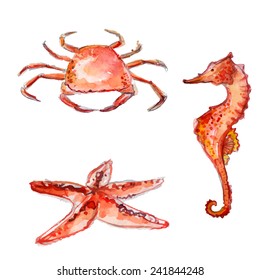 Set of hand drawn watercolor sea creatures: orange crab, starfish and sea horse. Colorful vector illustrations isolated on white background.