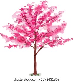 Set of hand drawn watercolor trees illustrations, bushes and flowers isolated on white. Collection of various hand painted plants