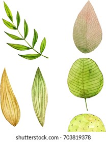 Set of hand drawn watercolor vector isolated Autumn leaves for design.