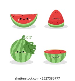 Set of hand drawn watermelon fruit. Vector illustration.
