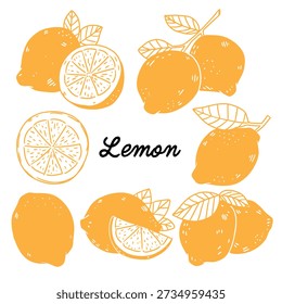 Set of hand drawn whole and sliced lemon with leaves fruit outline drawing doodle illustration