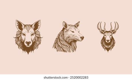 Set of hand drawn wild animals deer rhino and leopard on white background. Vector illustration.