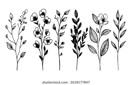 Conjunto de desenho à mão ilustrações de flores silvestres isoladas sobre fundo branco