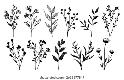 Conjunto de flores e folhas selvagens desenhadas à mão. Ilustração de vetor em preto e branco