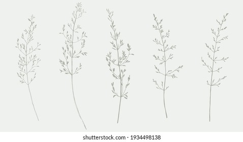 set of hand drawn wild grass