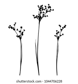 Set of hand drawn wild herbs silhouettes isolated on white background. Elegant wild plants for your design. Vector illustration.