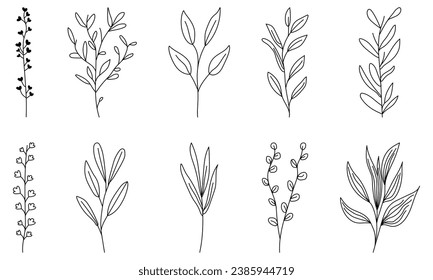 Conjunto de hierbas y hojas silvestres extraídas a mano. Ilustración del vector aislada en fondo blanco
