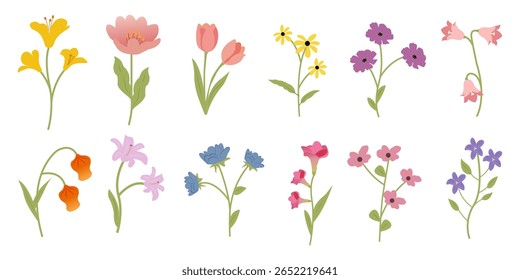 Conjunto de ilustraciones de flores silvestres dibujadas a mano. Iconos de flor de primavera de colección. Elementos florales de primavera para tarjetas de felicitación, pegatinas, arte de la pared, scrapbooking y diseño textil.