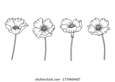Daisy Flower Drawing Vector Hand Drawn Stock Vector (Royalty Free ...