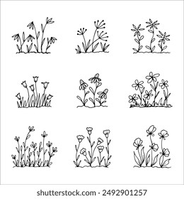 set of hand drawn wildflowers flower beds, monochrome, black and white