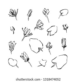 Set of hand drawn wildflowers. Outline flowers and leaves silhouette brush ink painting. Black isolated vector on white background.
