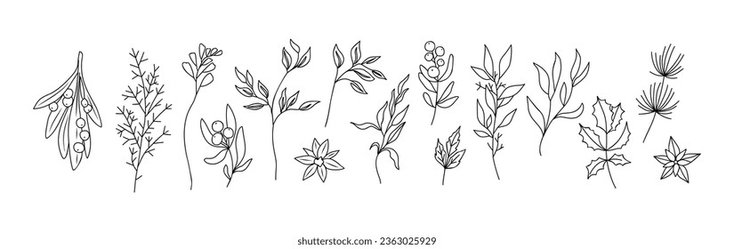 Set of Hand drawn winter plants sketch. Christmas branch. Holly twig. Mistletoe leaves and flowers. Poinsettia flowers. Line art floral botanical Vector illustrations isolated on white background.