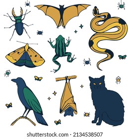 A set of hand drawn witch pets. Vector animals for Helloween in yellow, green and blue colors. Spooky bat, bug, snake, cat, frog and raven. Magical collection on white background