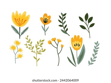 Set of hand drawn yellow flowers, leaves and branches. Vector illustration